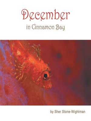 cover image of December in Cinnamon Bay